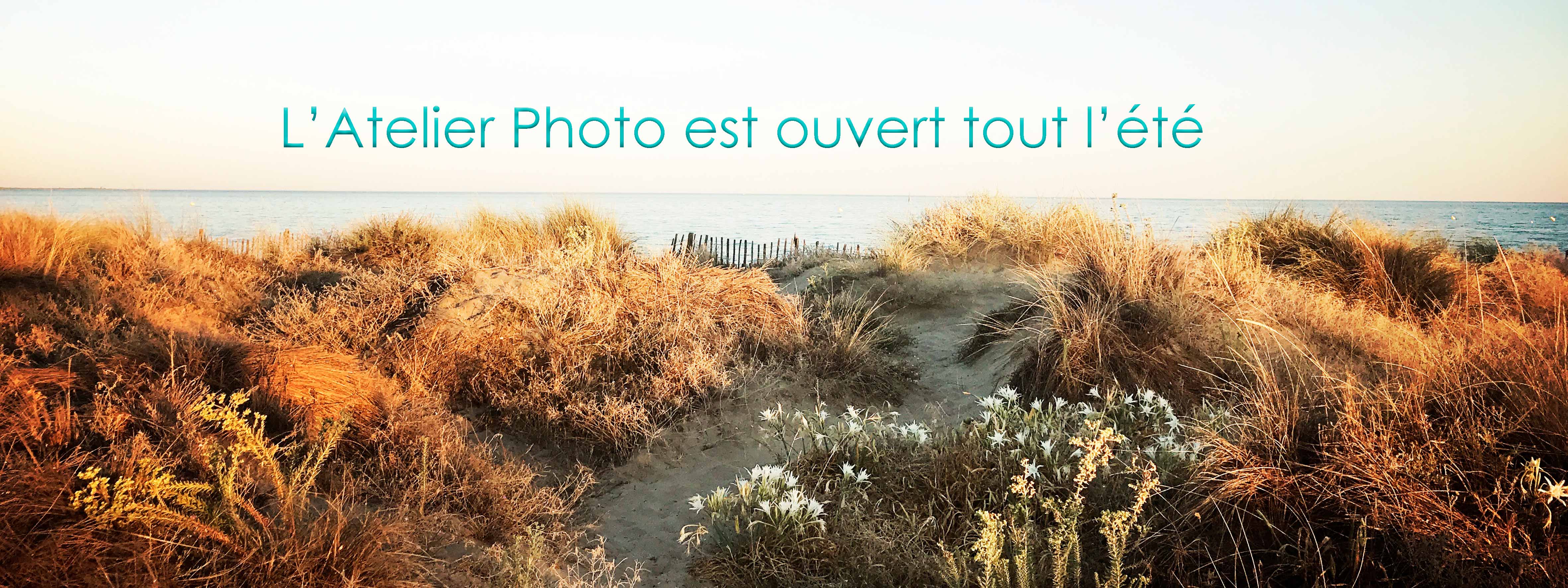 VIE DE L’ATELIER- ETE 2020 VIE DE L’ATELIER- ETE 2020